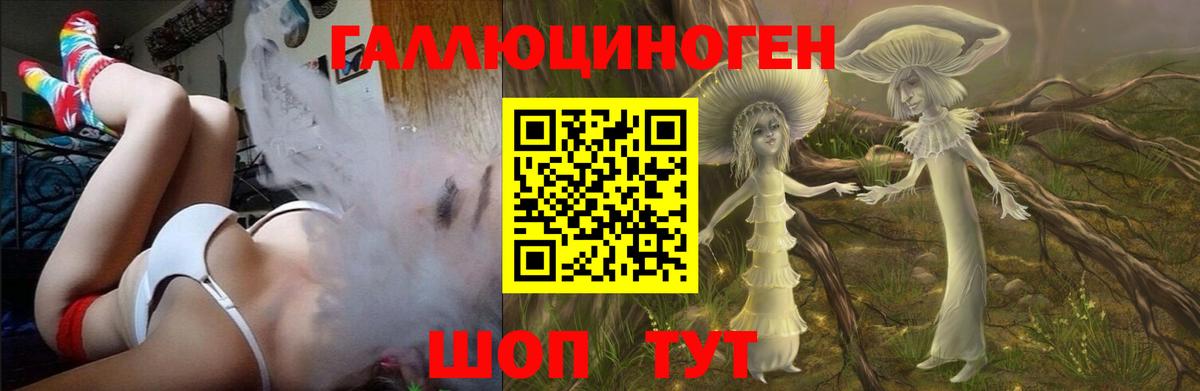 Галлюциногенные грибы ЛСД  Галлюциногенные грибы Psilocybine cubensis  Вход с VPN  Россия 